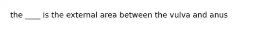 the ____ is the external area between the vulva and anus