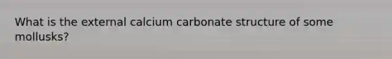 What is the external calcium carbonate structure of some mollusks?