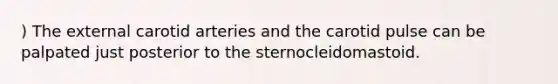 ) The external carotid arteries and the carotid pulse can be palpated just posterior to the sternocleidomastoid.