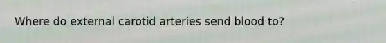 Where do external carotid arteries send blood to?