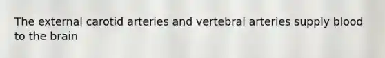 The external carotid arteries and vertebral arteries supply blood to the brain