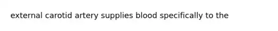 external carotid artery supplies blood specifically to the