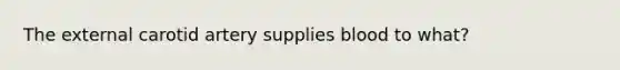 The external carotid artery supplies blood to what?