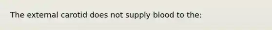 The external carotid does not supply blood to the: