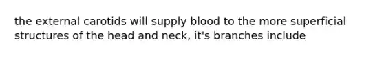 the external carotids will supply blood to the more superficial structures of the head and neck, it's branches include