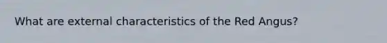 What are external characteristics of the Red Angus?