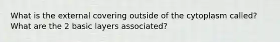 What is the external covering outside of the cytoplasm called? What are the 2 basic layers associated?