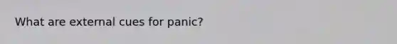 What are external cues for panic?