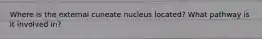 Where is the external cuneate nucleus located? What pathway is it involved in?