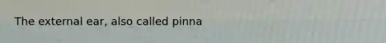 The external ear, also called pinna