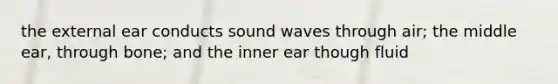 the external ear conducts sound waves through air; the middle ear, through bone; and the inner ear though fluid