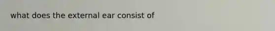 what does the external ear consist of