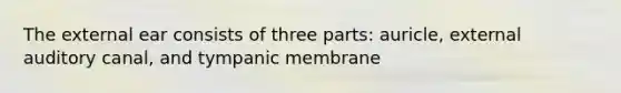 The external ear consists of three parts: auricle, external auditory canal, and tympanic membrane