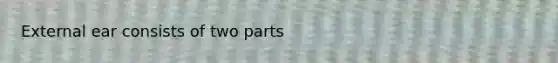 External ear consists of two parts