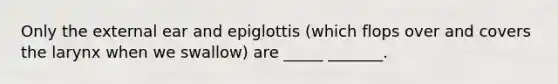 Only the external ear and epiglottis (which flops over and covers the larynx when we swallow) are _____ _______.