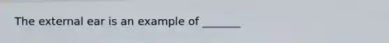 The external ear is an example of _______