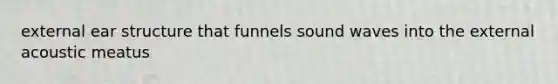 external ear structure that funnels sound waves into the external acoustic meatus