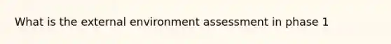 What is the external environment assessment in phase 1