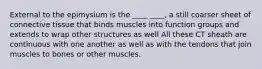 External to the epimysium is the ____ ____, a still coarser sheet of connective tissue that binds muscles into function groups and extends to wrap other structures as well All these CT sheath are continuous with one another as well as with the tendons that join muscles to bones or other muscles.