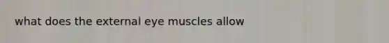 what does the external eye muscles allow