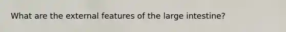 What are the external features of the large intestine?