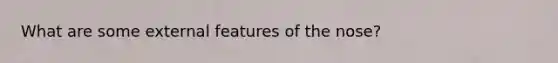 What are some external features of the nose?