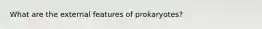 What are the external features of prokaryotes?
