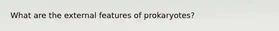 What are the external features of prokaryotes?