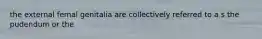 the external femal genitalia are collectively referred to a s the pudendum or the