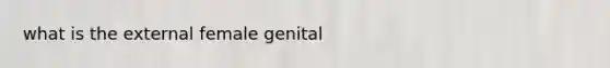 what is the external female genital