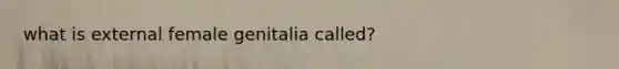 what is external female genitalia called?