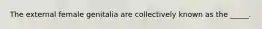 The external female genitalia are collectively known as the _____.