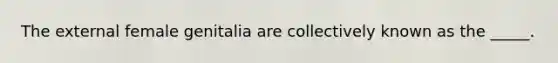 The external female genitalia are collectively known as the _____.