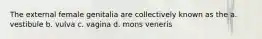 The external female genitalia are collectively known as the a. vestibule b. vulva c. vagina d. mons veneris