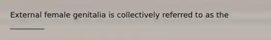 External female genitalia is collectively referred to as the _________