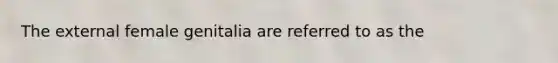 The external female genitalia are referred to as the​