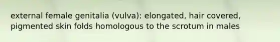 external female genitalia (vulva): elongated, hair covered, pigmented skin folds homologous to the scrotum in males