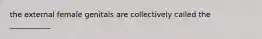 the external female genitals are collectively called the ___________