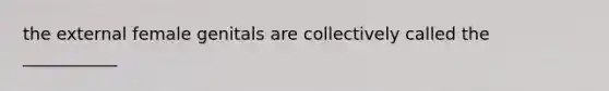 the external female genitals are collectively called the ___________