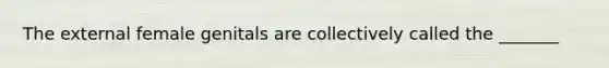 The external female genitals are collectively called the _______