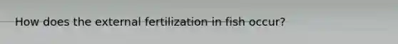 How does the external fertilization in fish occur?