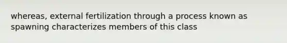 whereas, external fertilization through a process known as spawning characterizes members of this class