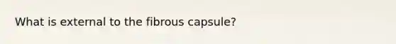 What is external to the fibrous capsule?