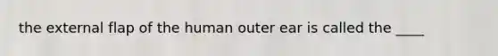 the external flap of the human outer ear is called the ____