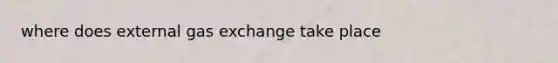 where does external <a href='https://www.questionai.com/knowledge/kU8LNOksTA-gas-exchange' class='anchor-knowledge'>gas exchange</a> take place