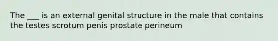 The ___ is an external genital structure in the male that contains the testes scrotum penis prostate perineum