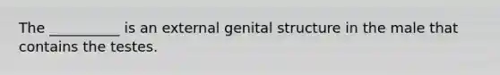 The __________ is an external genital structure in the male that contains the testes.