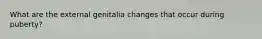 What are the external genitalia changes that occur during puberty?