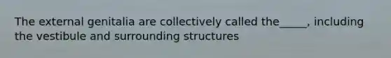 The external genitalia are collectively called the_____, including the vestibule and surrounding structures