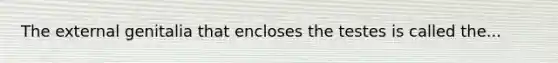 The external genitalia that encloses the testes is called the...